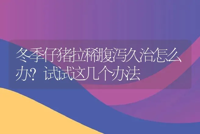 冬季仔猪拉稀腹泻久治怎么办？试试这几个办法 | 兽医知识大全