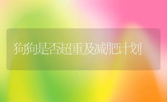 狗狗是否超重及减肥计划 | 宠物病虫害