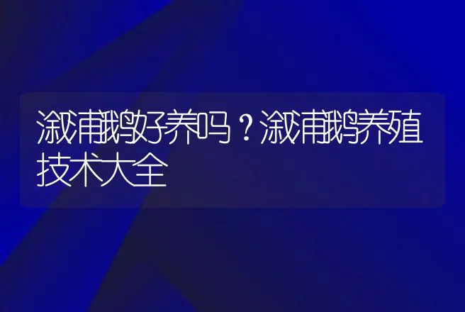 溆浦鹅好养吗？溆浦鹅养殖技术大全 | 家禽养殖