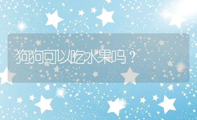 狗狗可以吃水果吗？ | 宠物猫