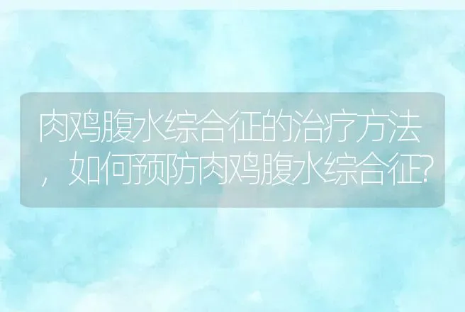 肉鸡腹水综合征的治疗方法，如何预防肉鸡腹水综合征? | 兽医知识大全