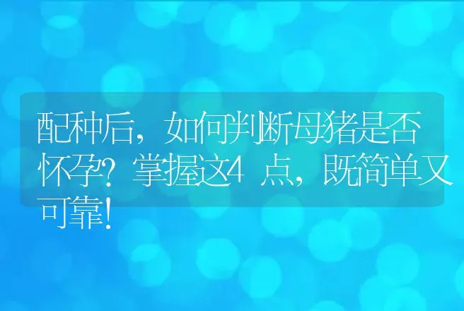 配种后，如何判断母猪是否怀孕？掌握这4点，既简单又可靠！ | 兽医知识大全