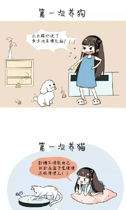 养猫和养狗的区别竟然这么大，看完都要哭了！ | 宠物狗饲养