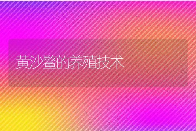 黄沙鳖的养殖技术 | 动物养殖