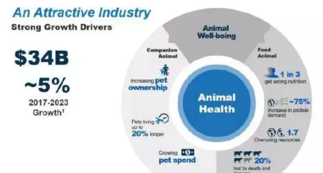 兽药催生百亿市场，政策覆盖构筑品质壁垒 | 宠物行业洞察