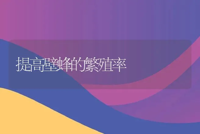 提高壁蜂的繁殖率 | 动物养殖