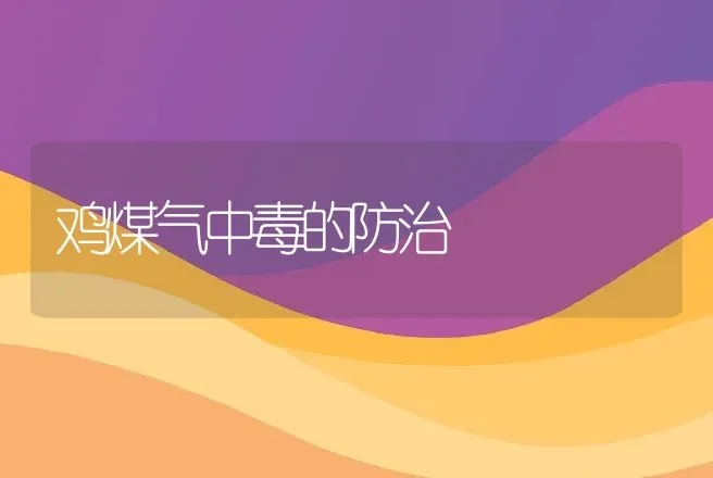 鸡煤气中毒的防治 | 动物养殖