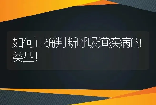 如何正确判断呼吸道疾病的类型！ | 家畜养殖