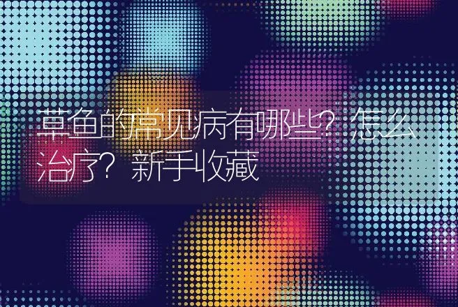 草鱼的常见病有哪些？怎么治疗？新手收藏 | 兽医知识大全