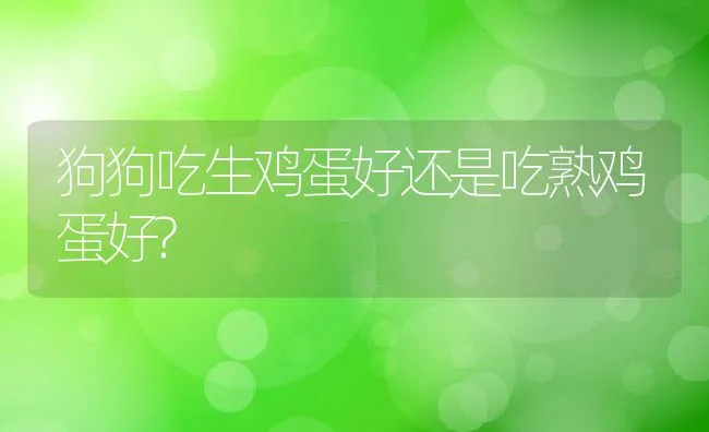 狗狗吃生鸡蛋好还是吃熟鸡蛋好? | 宠物猫