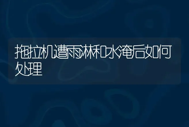 拖拉机遭雨淋和水淹后如何处理 | 养殖