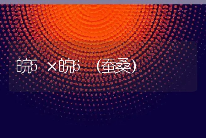 皖5×皖6（蚕桑） | 动物养殖