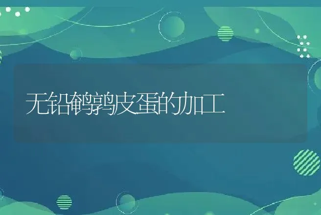 无铅鹌鹑皮蛋的加工 | 动物养殖