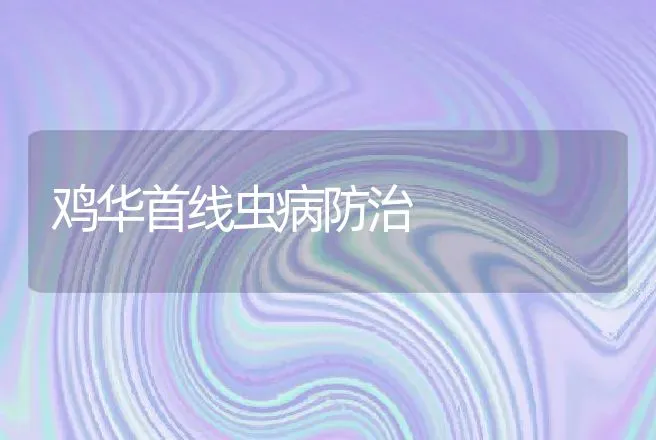 鸡华首线虫病防治 | 动物养殖