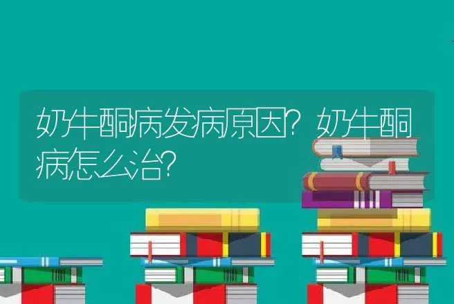 奶牛酮病发病原因？奶牛酮病怎么治？ | 兽医知识大全