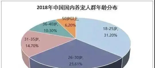 2000万人在抖音“看猫睡觉”，爆红背后的秘密是... | 宠物新闻资讯