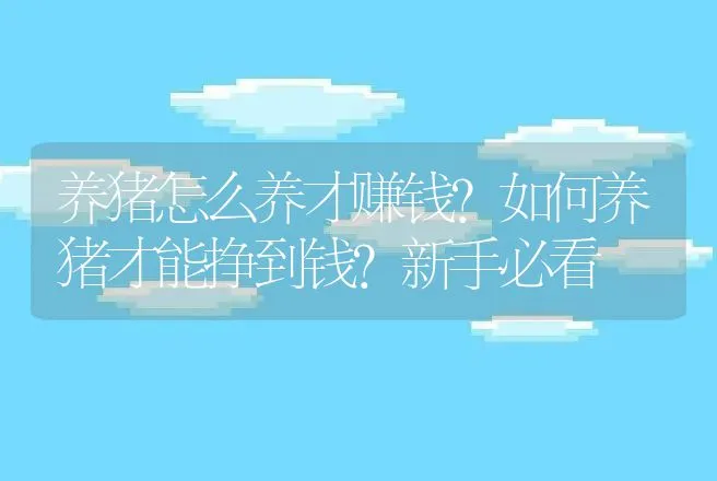 养猪怎么养才赚钱？如何养猪才能挣到钱？新手必看 | 家畜养殖