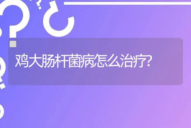 鸡大肠杆菌病怎么治疗? | 兽医知识大全