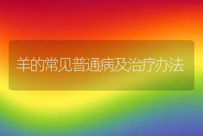 高温治鱼白点病好 | 动物养殖