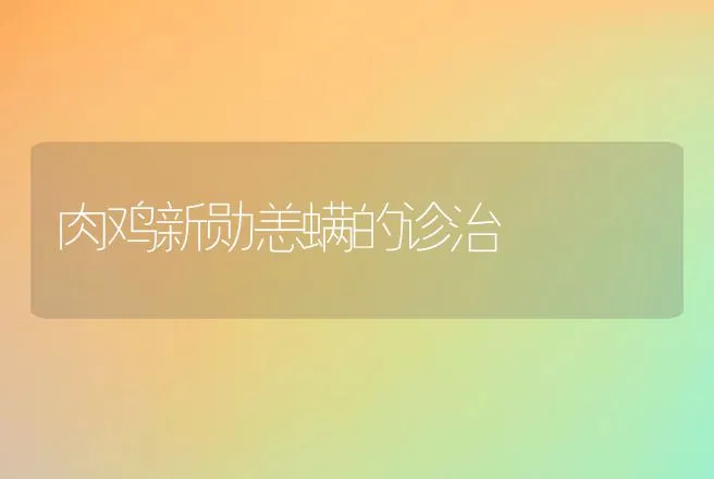 肉鸡新勋恙螨的诊治 | 动物养殖