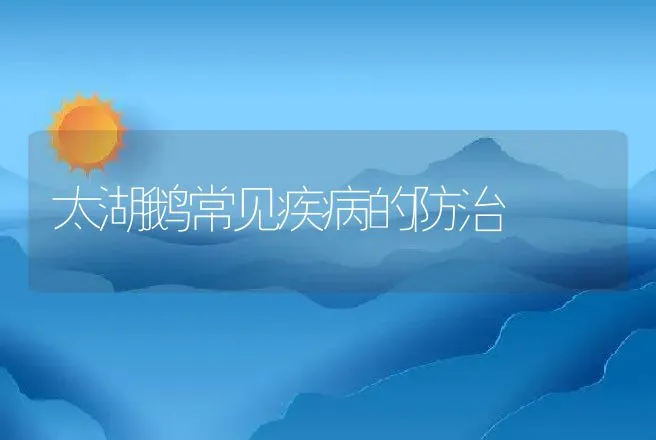 太湖鹅常见疾病的防治 | 兽医知识大全