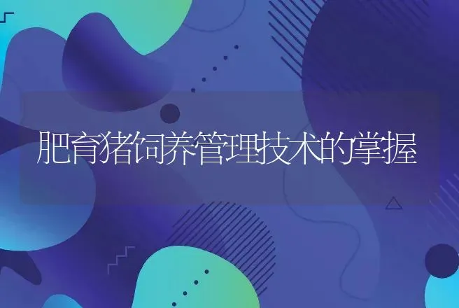 肥育猪饲养管理技术的掌握 | 动物养殖