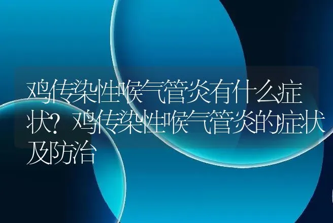 鸡传染性喉气管炎有什么症状？鸡传染性喉气管炎的症状及防治 | 兽医知识大全