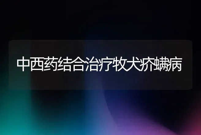 中西药结合治疗牧犬疥螨病 | 动物养殖