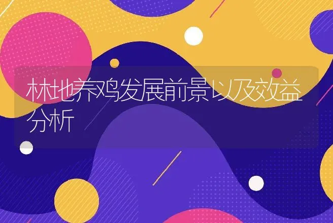 林地养鸡发展前景以及效益分析 | 养殖致富