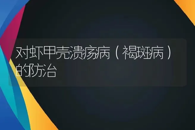 对虾甲壳溃疡病（褐斑病）的防治 | 动物养殖