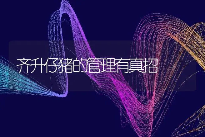 齐升仔猪的管理有真招 | 动物养殖