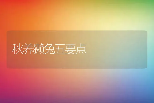 秋养獭兔五要点 | 动物养殖