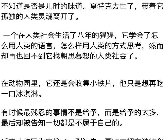 被囚禁30年的红毛猩猩抑郁离世，最后的遗愿是吃一口冰淇淋 | 宠物新闻资讯