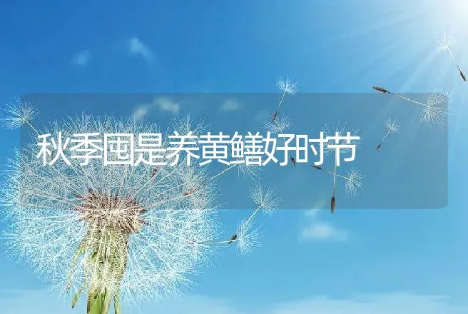 秋季囤是养黄鳝好时节 | 动物养殖