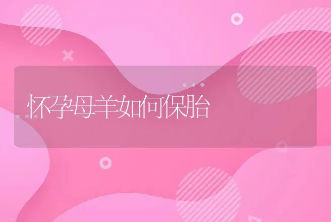 怀孕母羊如何保胎 | 动物养殖