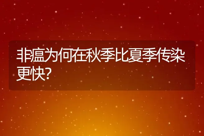 非瘟为何在秋季比夏季传染更快？ | 兽医知识大全