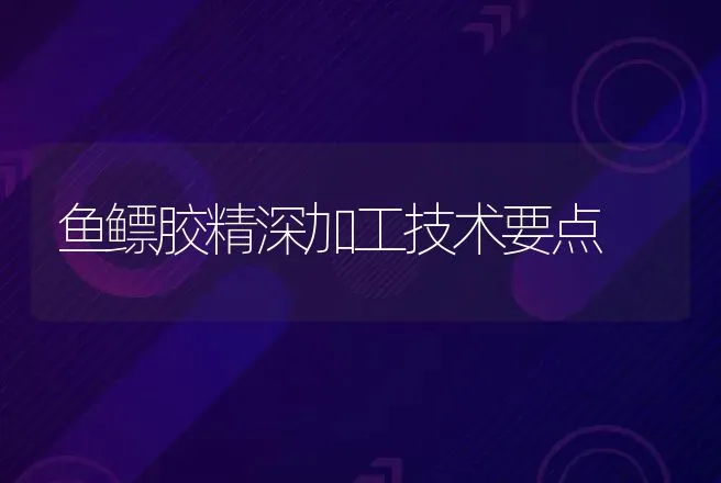 鱼鳔胶精深加工技术要点 | 动物养殖