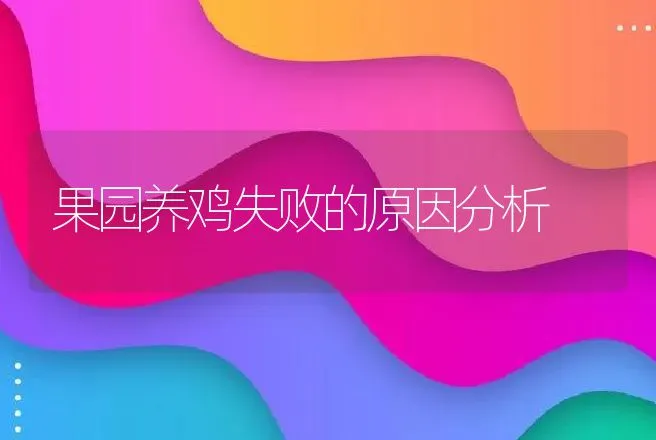 果园养鸡失败的原因分析 | 动物养殖