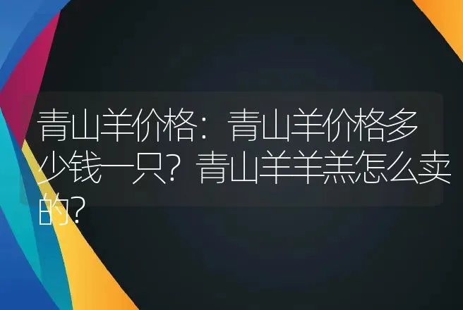 青山羊价格：青山羊价格多少钱一只？青山羊羊羔怎么卖的？ | 家畜养殖