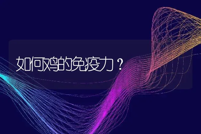 如何鸡的免疫力？ | 动物养殖