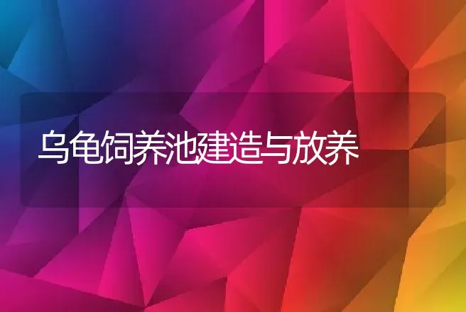 乌龟饲养池建造与放养 | 动物养殖