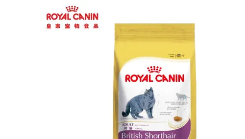 英短猫粮喂食时要注意什么？ | 宠物病虫害防治