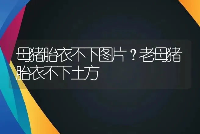 母猪胎衣不下图片？老母猪胎衣不下土方 | 兽医知识大全