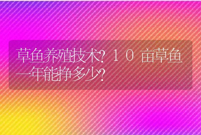 草鱼养殖技术？10亩草鱼一年能挣多少? | 水产知识