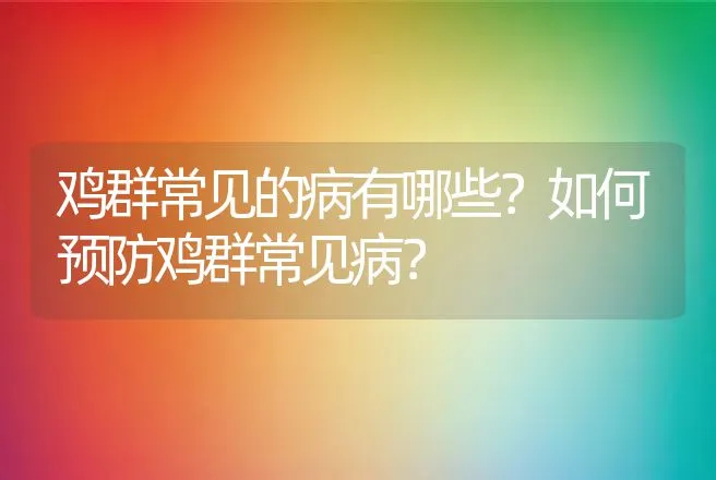 鸡群常见的病有哪些？如何预防鸡群常见病？ | 兽医知识大全