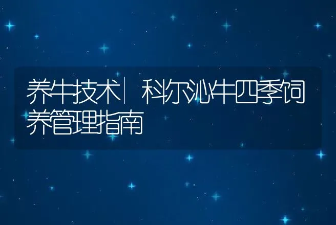 养牛技术|科尔沁牛四季饲养管理指南 | 家畜养殖