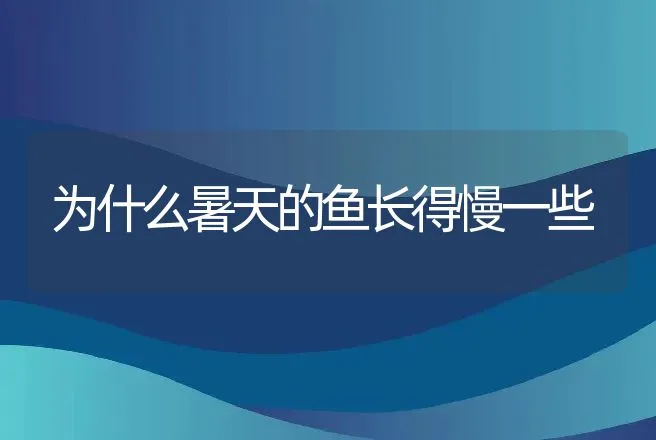 为什么暑天的鱼长得慢一些 | 动物养殖