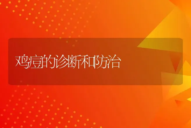 哺乳母羊的饲养要点 | 动物养殖