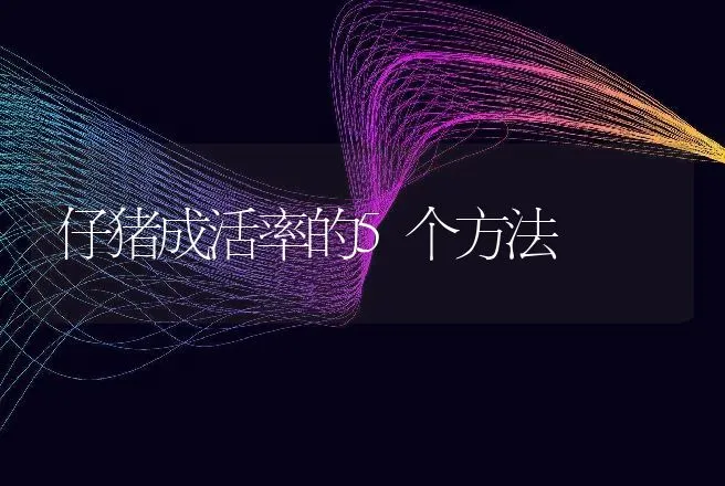 仔猪成活率的5个方法 | 家畜养殖