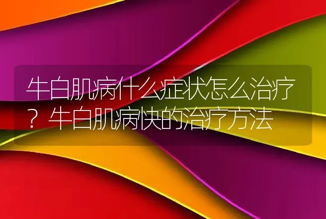 牛白肌病什么症状怎么治疗？牛白肌病快的治疗方法 | 兽医知识大全